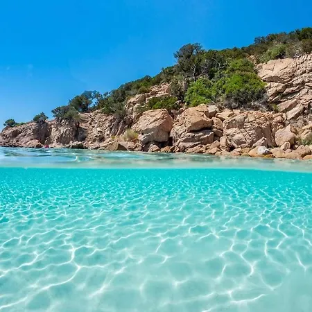 T2 Porticcio Agosta Plage 100M De La Plage Exterior foto